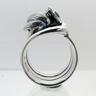 Order ring(�@�ցj
